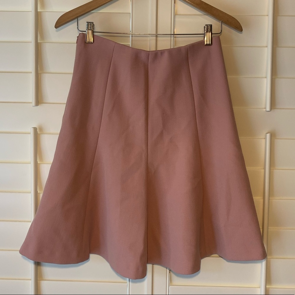 Ann Taylor Skirt